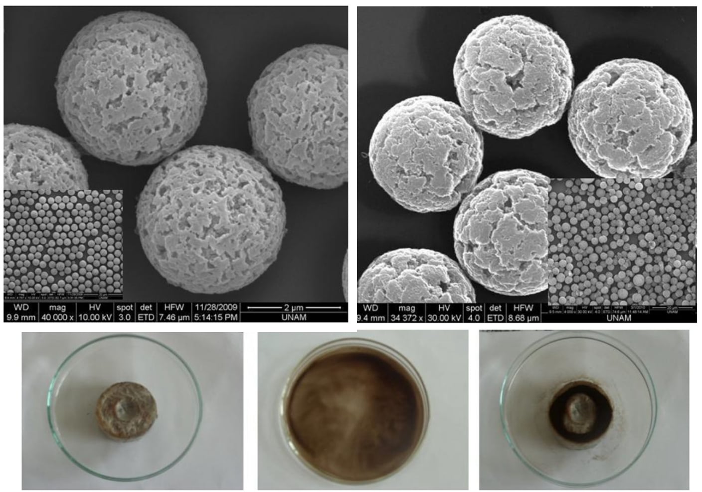 Fonksiyonel, Manyetik Gözenekli Mikroküreler (1.0-10.0 µm) - FMPM