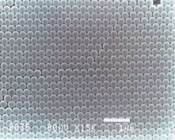 Functional Uniform Latex Particles (FULP)