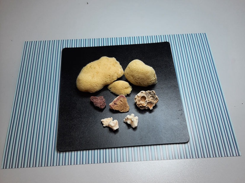 Composites and natural materials